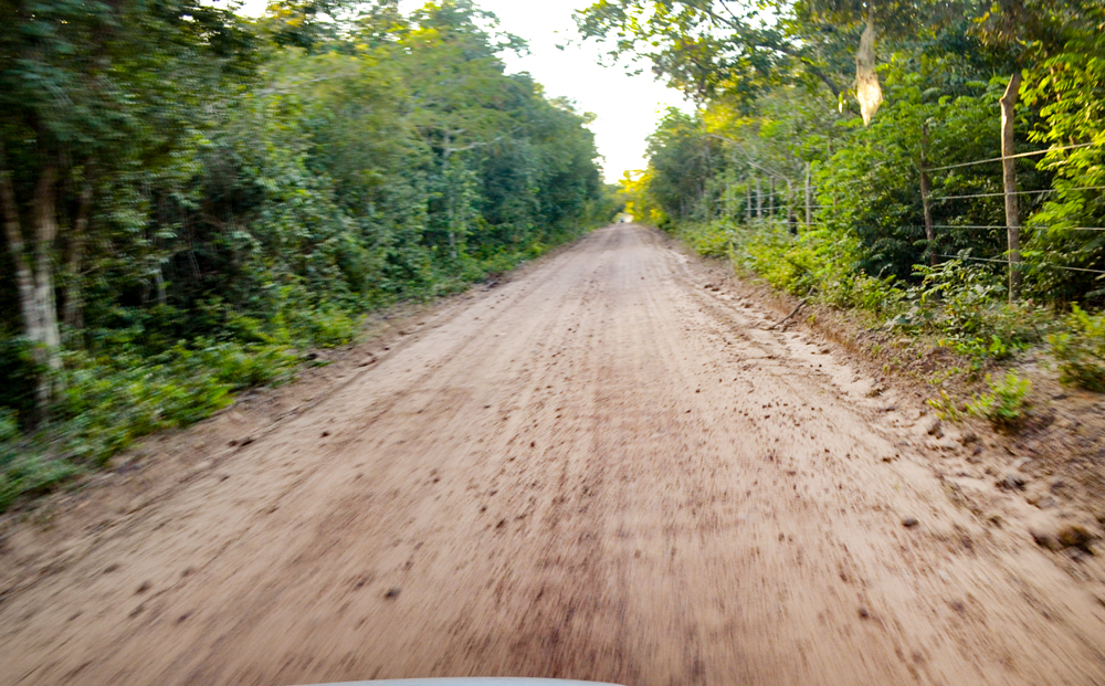 Prefeitura Municipal inicia a revitalização de estradas vicinais - Imagem 16