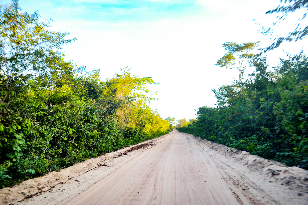 Prefeitura Municipal inicia a revitalização de estradas vicinais - Imagem 18