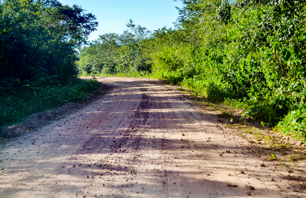 Prefeitura Municipal inicia a revitalização de estradas vicinais - Imagem 9