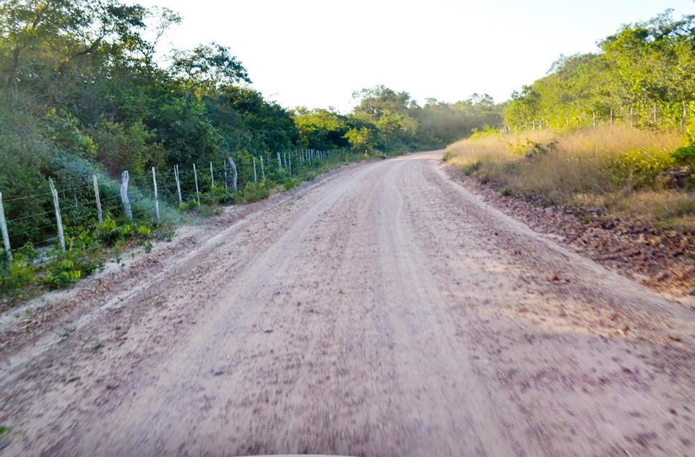 Prefeitura Municipal inicia a revitalização de estradas vicinais - Imagem 14