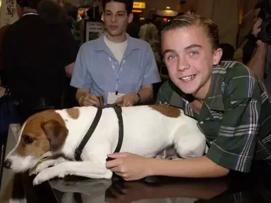 Lembra deles? 20 famosos que deixaram a fama por empregos "normais" - imagem 91098