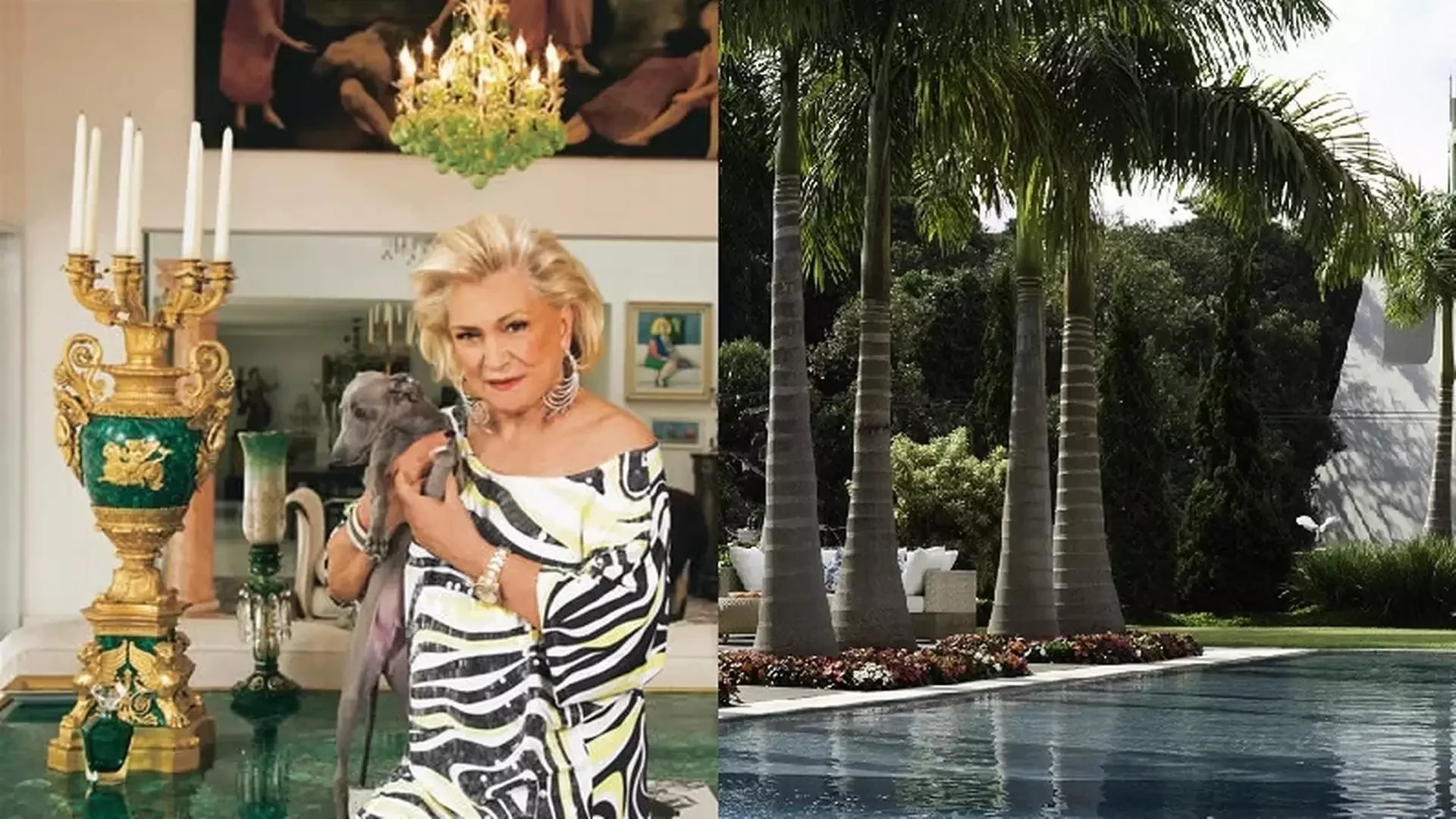 Conheça a luxuosa mansão de Hebe Camargo á venda em São Paulo. Detalhes! - imagem 97810