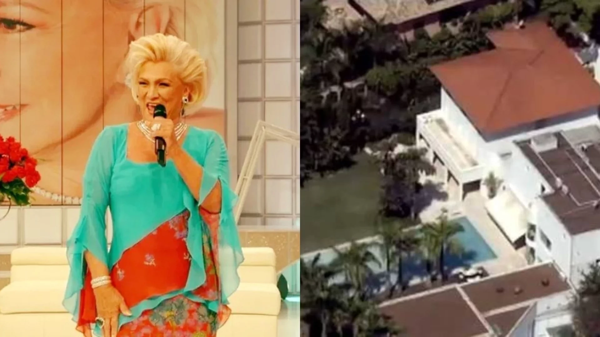 Conheça a luxuosa mansão de Hebe Camargo á venda em São Paulo. Detalhes! - imagem 97813