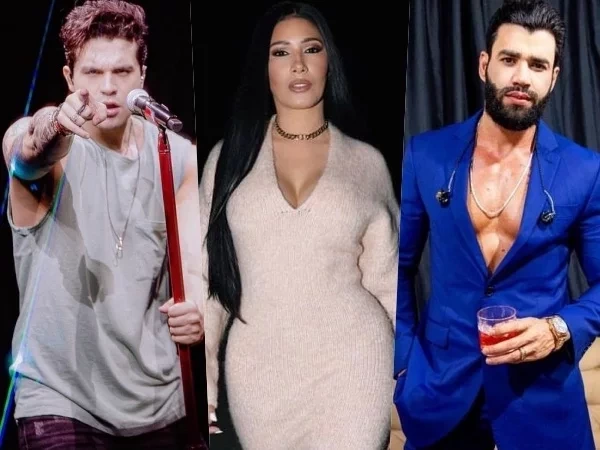 Descubra quais cantores sertanejos são os mais “bombados” no TikTok