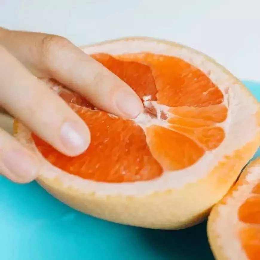 Mapa sexual do corpo humano