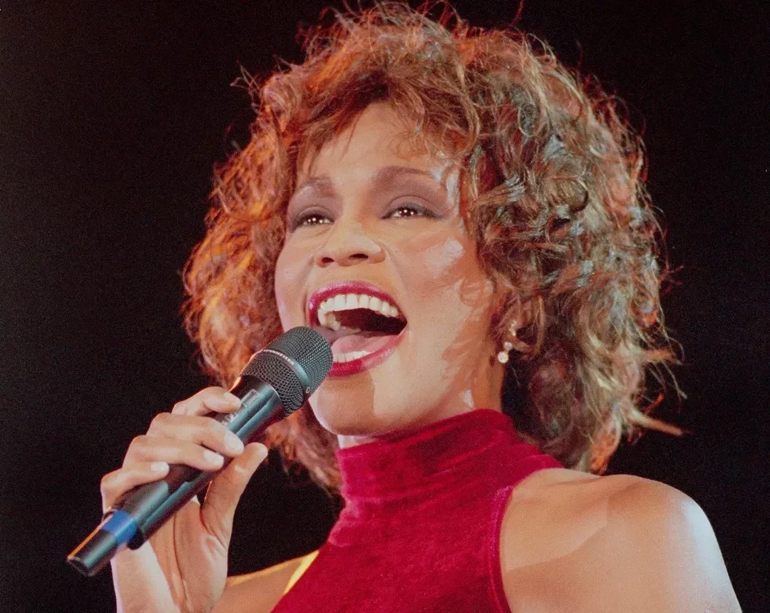 Relembre! Domingos Montagner e outros famosos que morreram afogados - imagem 101815