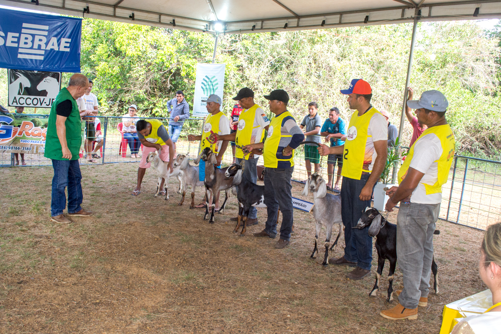 Prefeitura de Joaquim Pires realiza a XIII Expofeira de Caprinos e Ovinos - Imagem 34