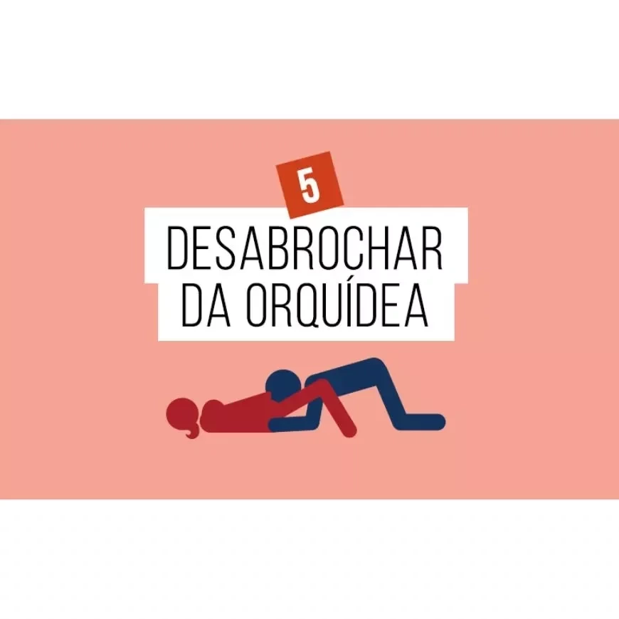 Kama Sutra: As 12 melhores posições 