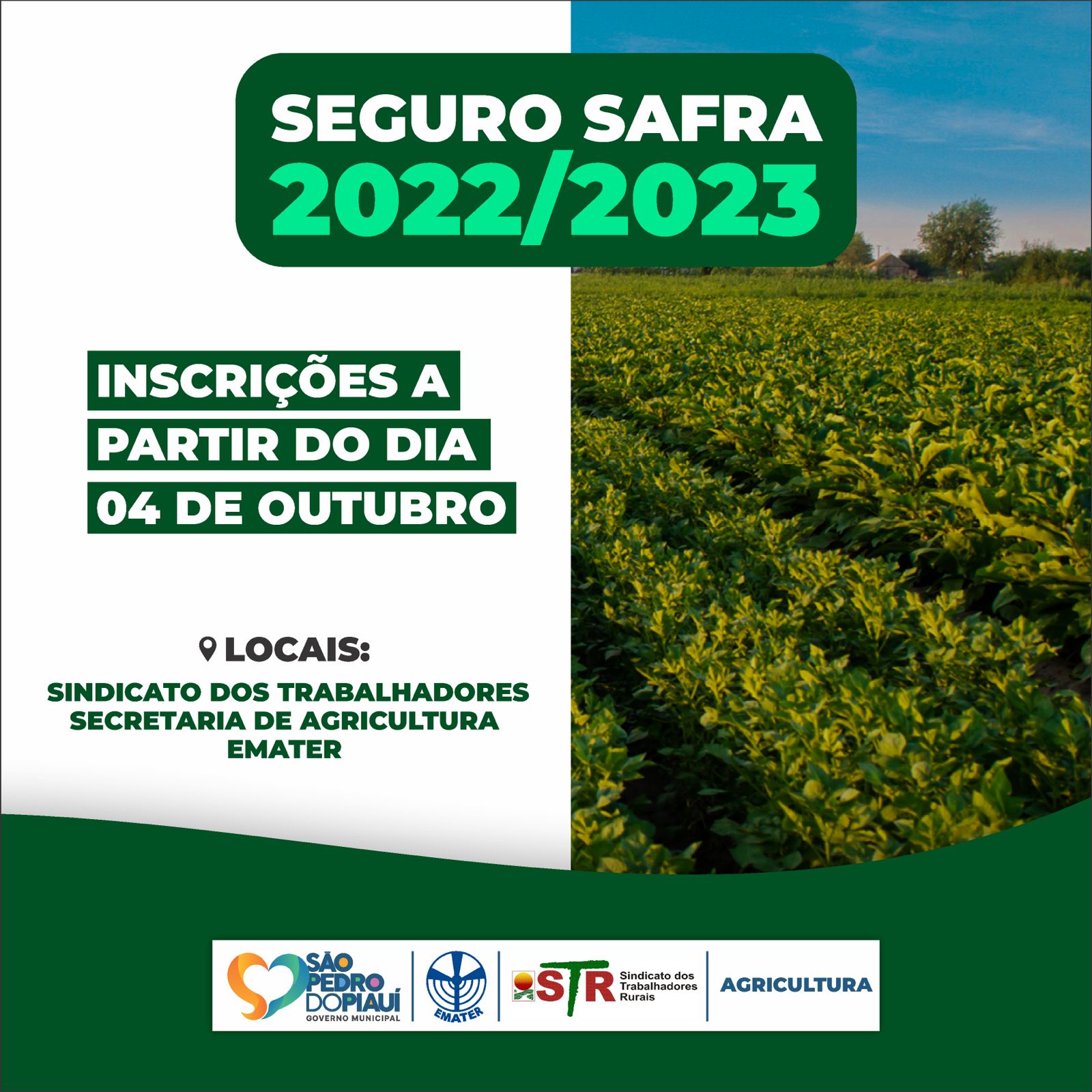 Prefeitura divulga data de inscrições para o Seguro Safra - Imagem 1