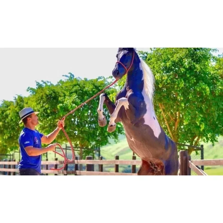 Fotos da fazenda do Eduardo Costa