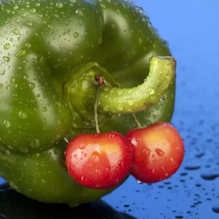 como dar mais prazer ao seu parceiro