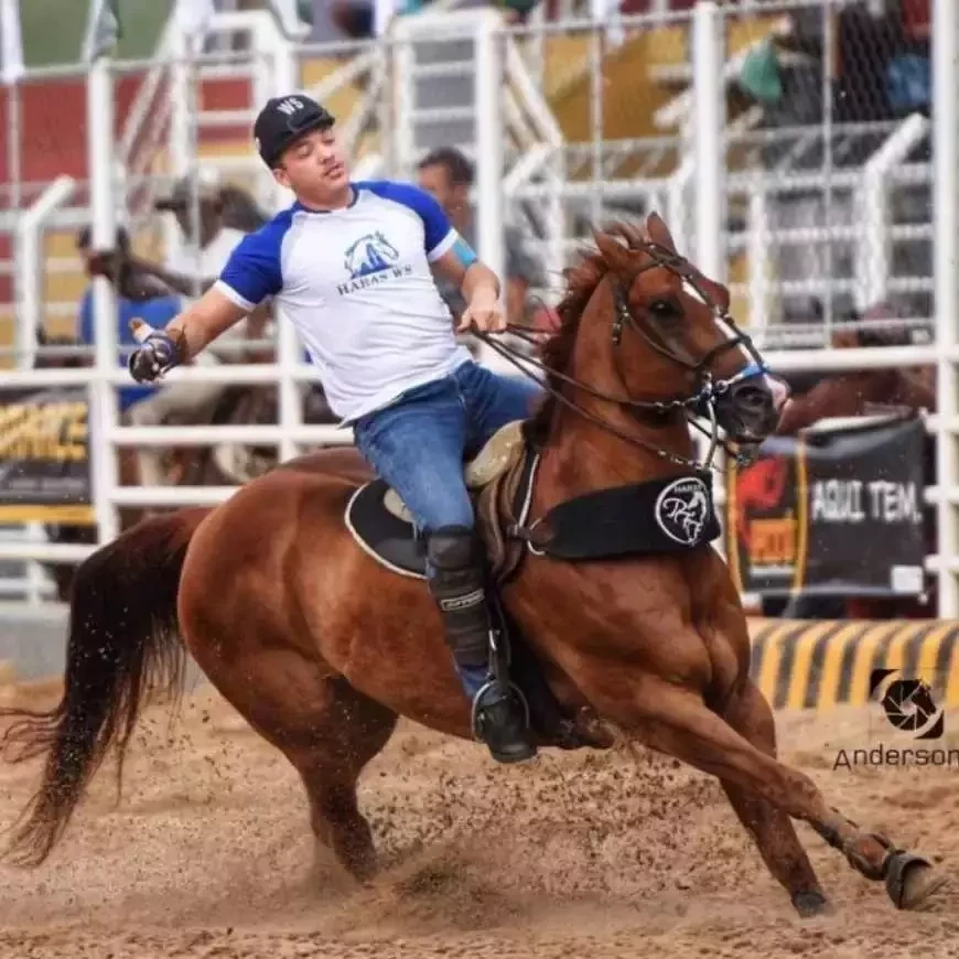 Curiosidades do Wesley Safadão