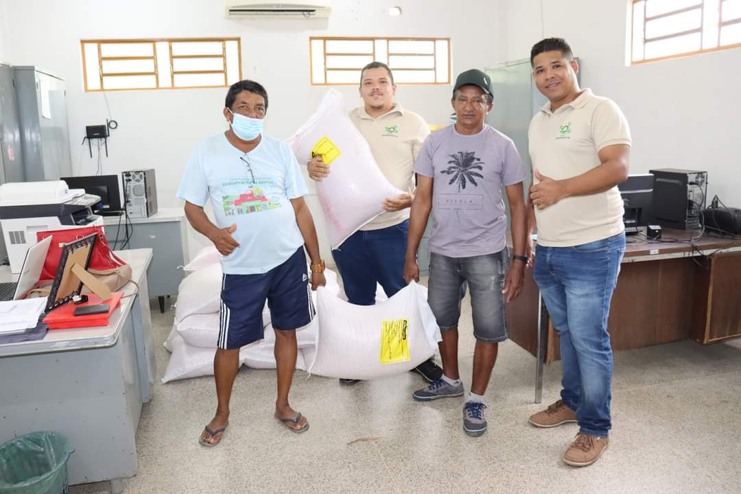 Agricultores de Monsenhor Gil recebem sementes da prefeitura municipal - Imagem 3