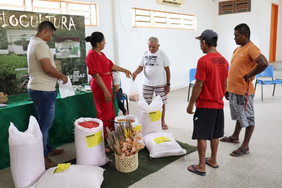 Agricultores de Monsenhor Gil recebem sementes da prefeitura municipal - Imagem 4