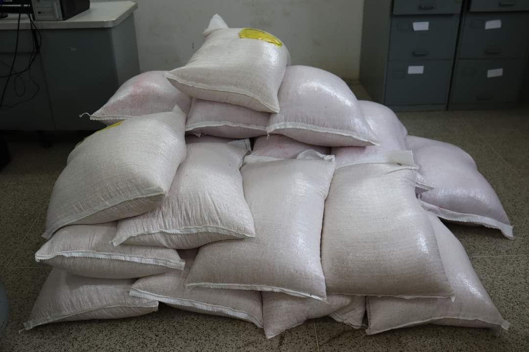 Agricultores de Monsenhor Gil recebem sementes da prefeitura municipal - Imagem 5