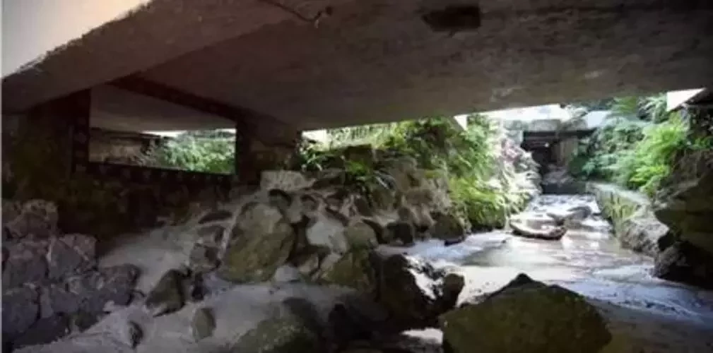 Anitta compra mansão com cascata por R$ 9 milhões; veja fotos!  - imagem 114122