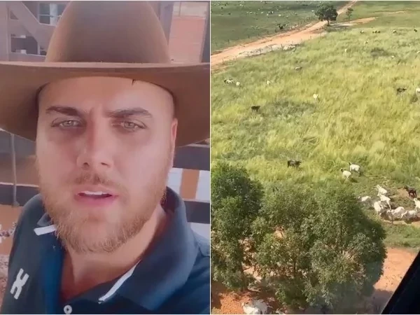 Conheça a fazenda milionária de Zé Neto: criação de gado, heliponto, e mais