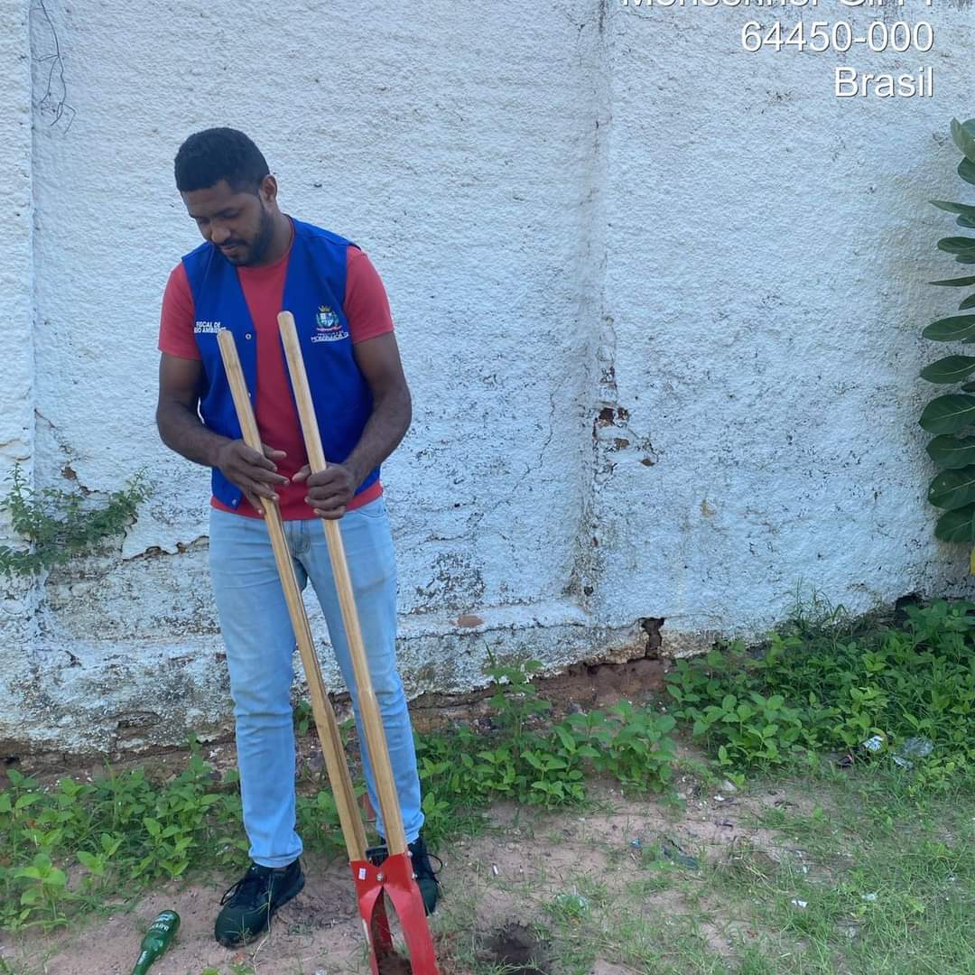 Prefeitura de Monsenhor Gil no trabalho de arborização do município  - Imagem 9