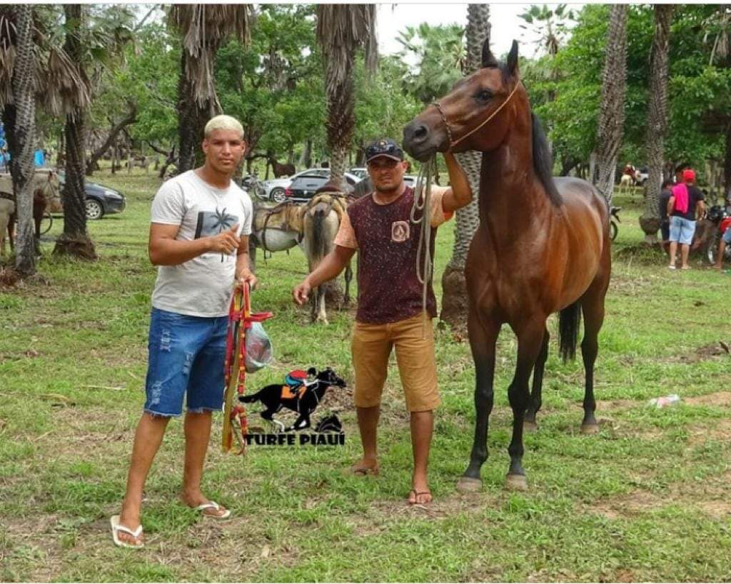 Monsenhor Gil fecha 2022 com eventos reunindo milhares de pessoas - Imagem 56