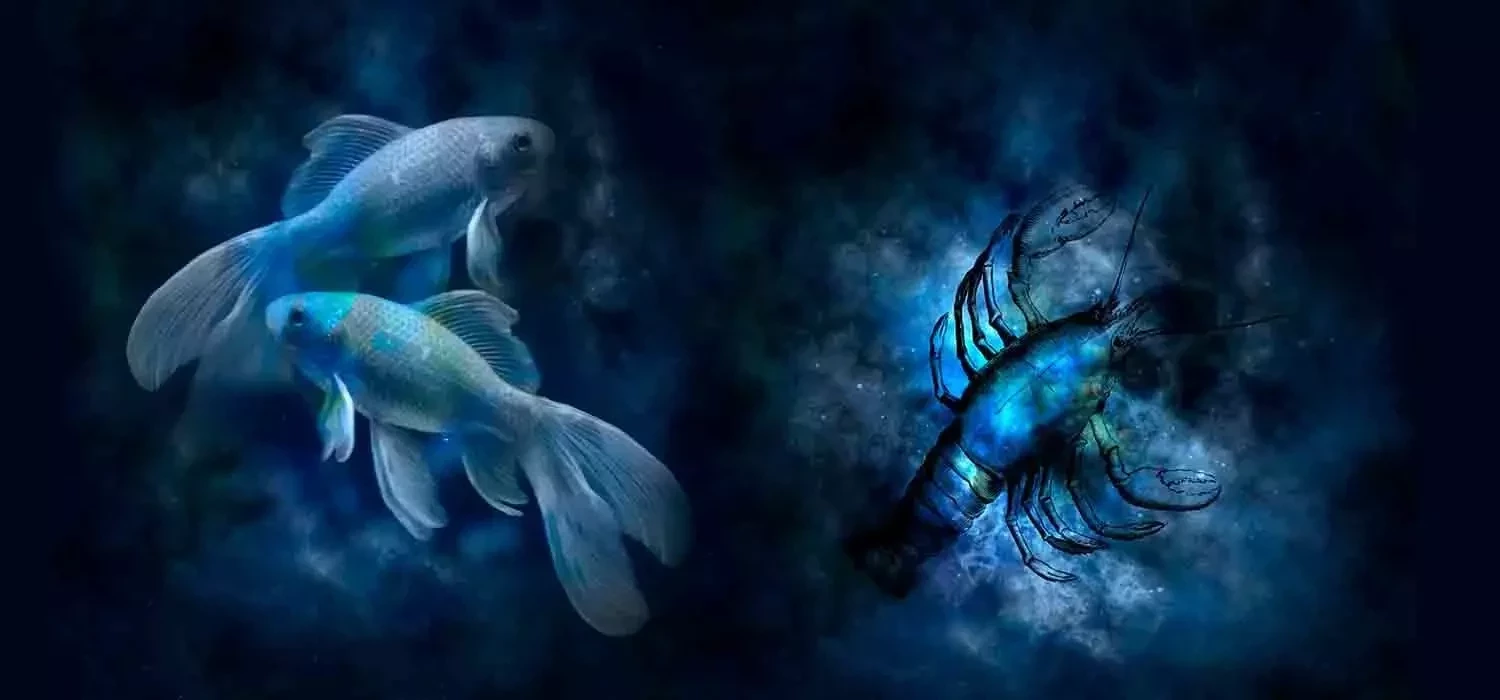 Feitos um para o outro: descubra quais signos mais combinam no amor - imagem 112275