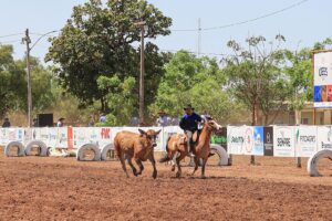 2º Rodeio Crioulo no distrito de Nova Santa Rosa em Uruçuí celebra a tradiç - Imagem 3