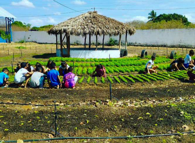 Educação Municipal é premiada na Jornada de Educação Alimentar do FNDE - Imagem 2
