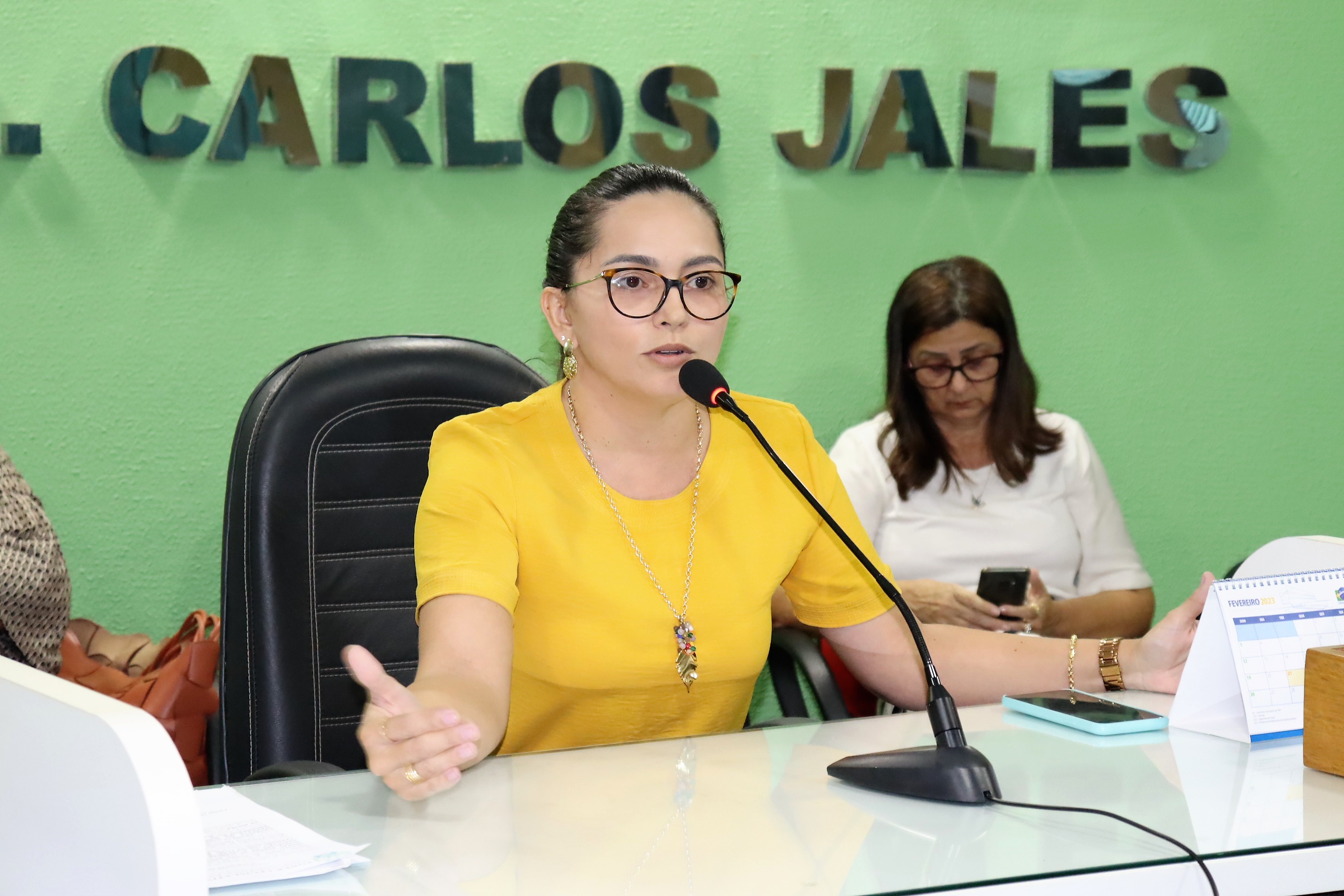 Audiência Pública comprova que São Pedro está com as contas em dia - Imagem 6