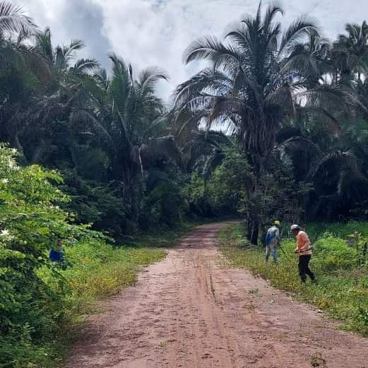 Em Monsenhor Gil centenas de famílias recebem peixes da prefeitura  - Imagem 41