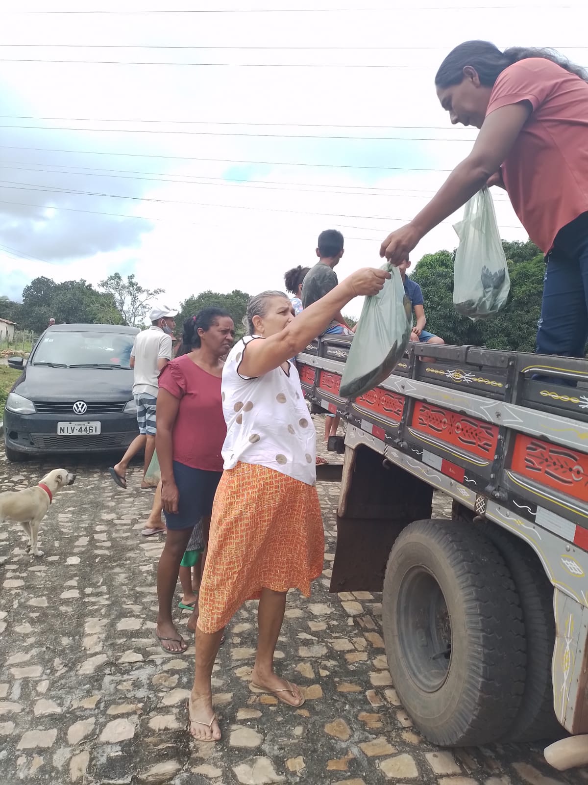 Em Monsenhor Gil centenas de famílias recebem peixes da prefeitura  - Imagem 39