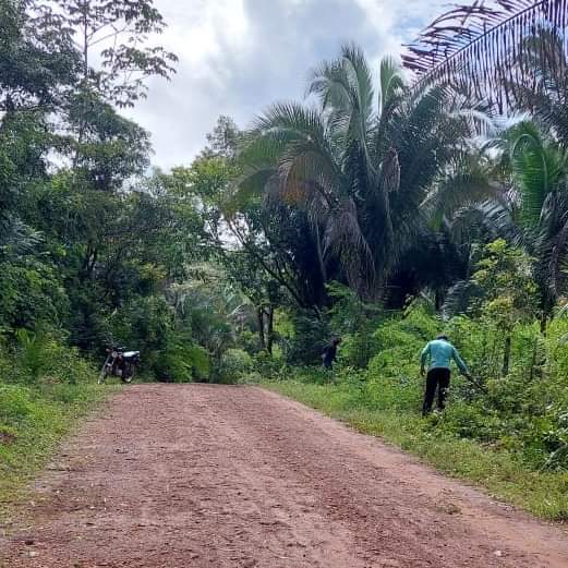 Em Monsenhor Gil centenas de famílias recebem peixes da prefeitura  - Imagem 43