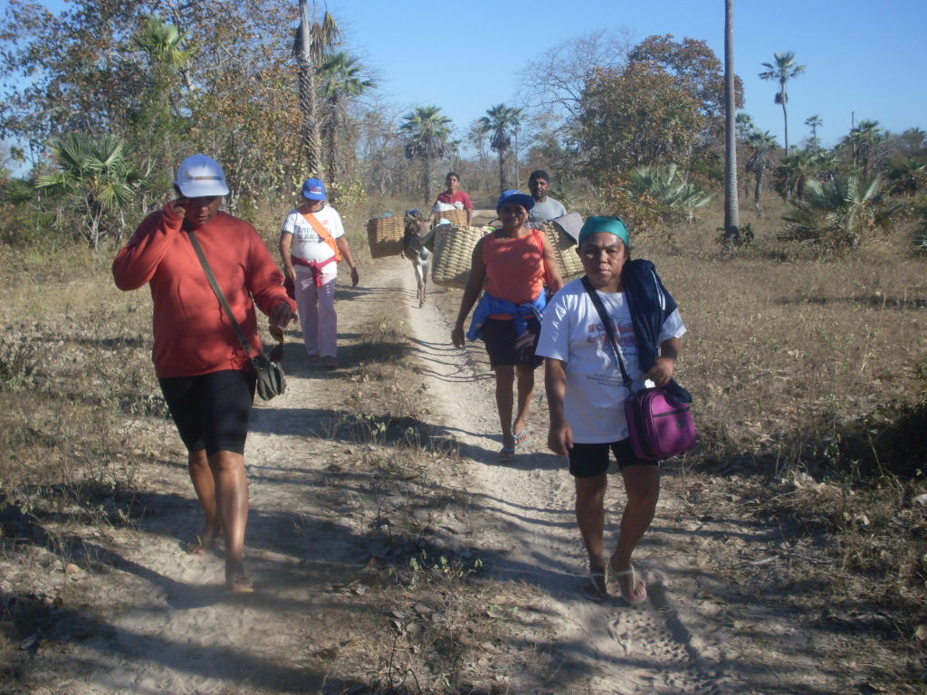Participantes terão entre 6 e 7 horas de caminhada por dia, com intervalos para descanso e hidratação. (Foto: Divulgação)