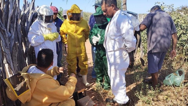 Curso leva técnicas e boas práticas para produção de mel em Oeiras