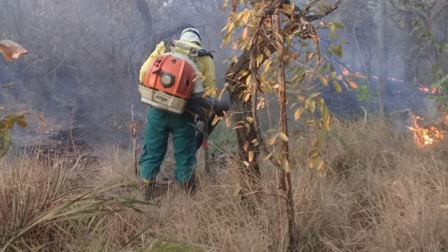 A Segunda Divisão do Campeonato Uruçuiense Brilha em sua Estreia
