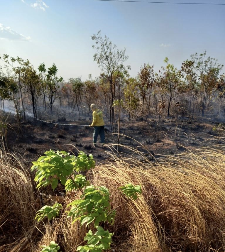 A Segunda Divisão do Campeonato Uruçuiense Brilha em sua Estreia - Imagem 5