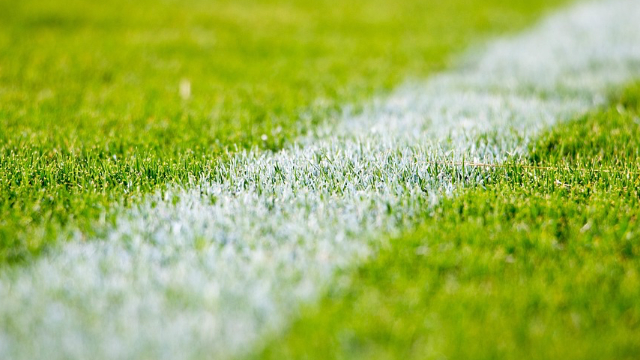 Botafogo amplia favoritismo no Brasileirão