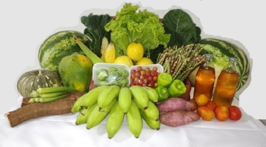 Oeiras receberá R$ 480 mil para Programa de Aquisição de Alimentos 