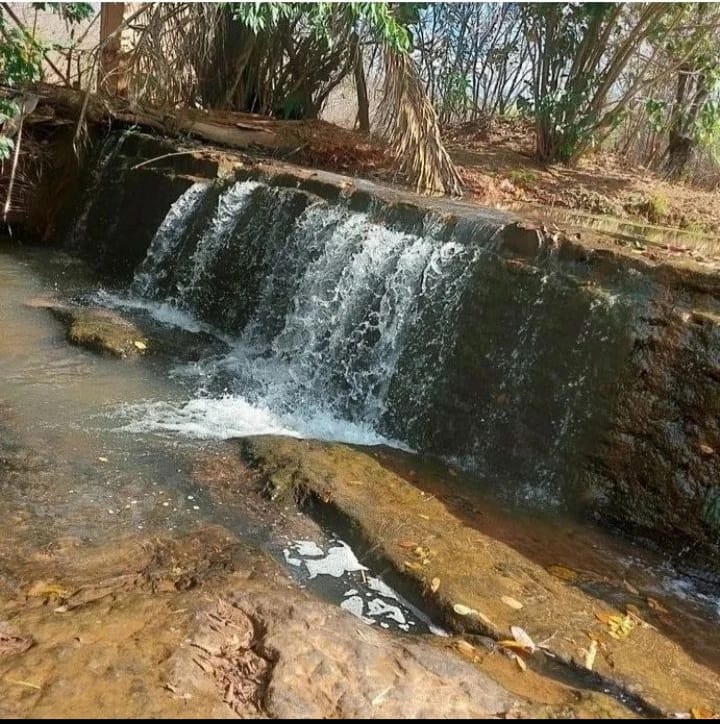 As belezas naturais de Monsenhor Gil, destaque para Varjota - Imagem 1