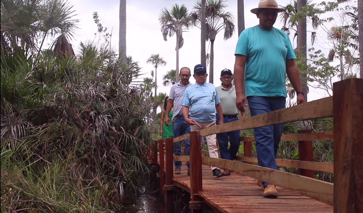 Prefeitura de Uruçuí Prioriza Desenvolvimento com Pavimentação Asfáltica na - Imagem 7