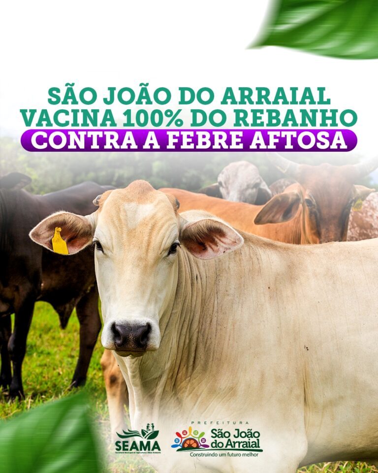 São João do Arraial vacina 100% do rebanho contra a febre aftosa - Imagem 1