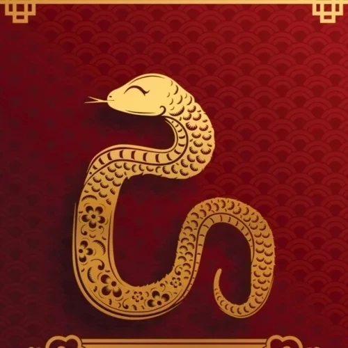 Horóscopo Chinês: 3 signos que vão ter um dezembro próspero - imagem 125879