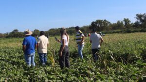 Apoio da Prefeitura Municipal fortalece Agricultura Familiar em Uruçuí - Imagem 2