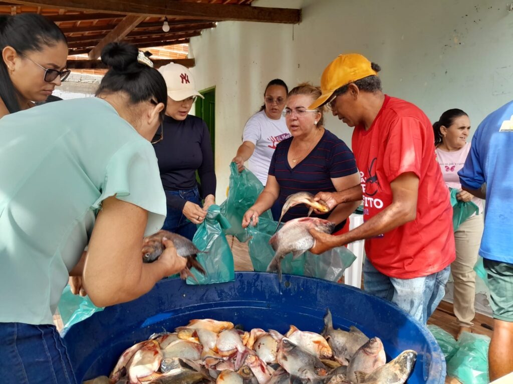 Prefeitura de São João do Arraial distribui 4 toneladas de peixes - Imagem 1