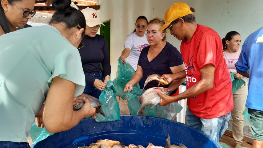 Prefeitura de São João do Arraial distribui 4 toneladas de peixes