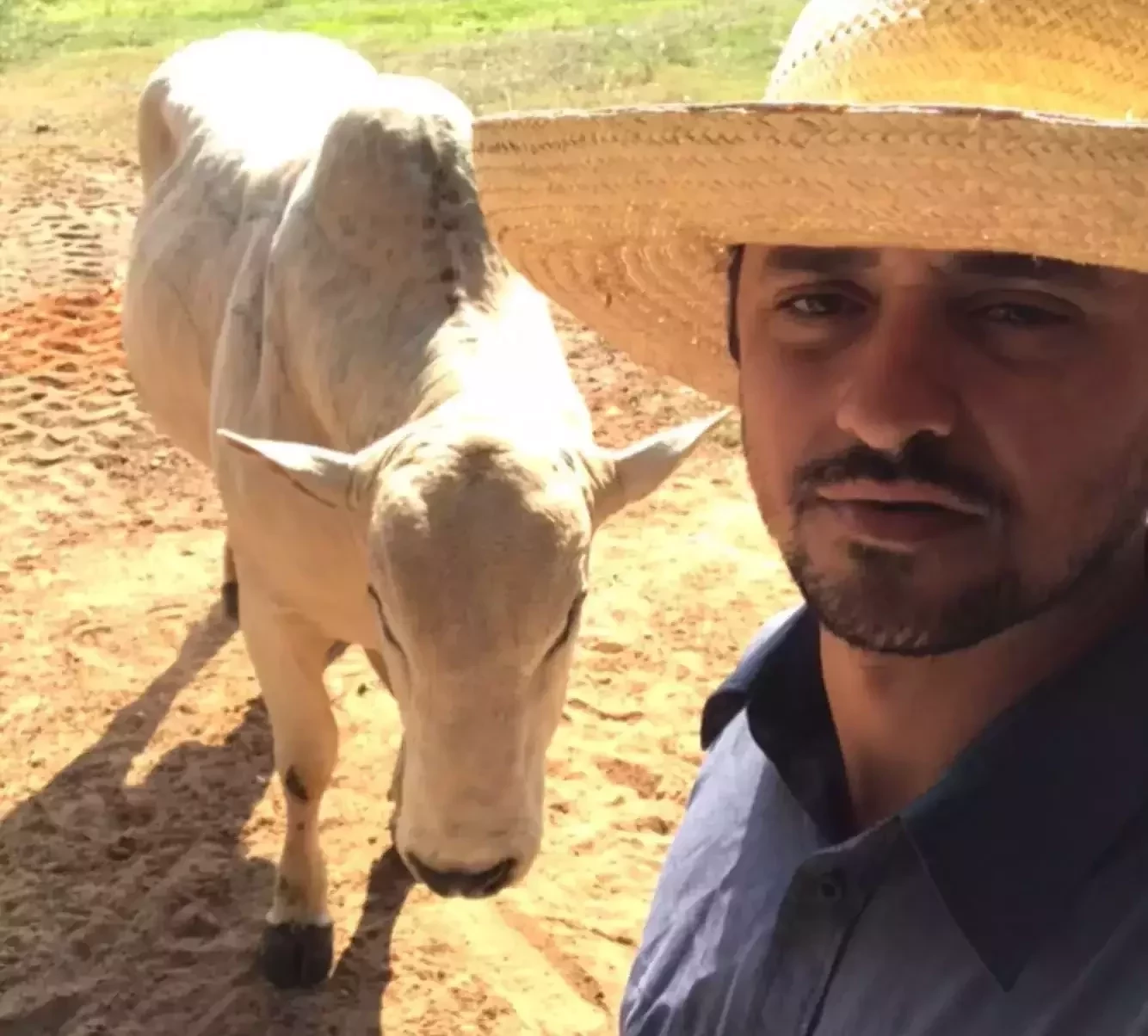 Como estão todos os 23 ganhadores do BBB atualmente?  - imagem 119218