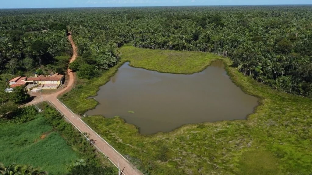 São João do Arraial conquista Selo A no ICMS Ecológico 2024 - Imagem 2
