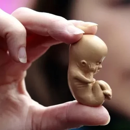 PL do Aborto: saiba quais famosos são a favor e contra a PL 1904 - imagem 120218