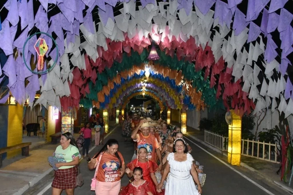 Primeira noite do Festival Cultural dos Cocais foi um sucesso - Imagem 28