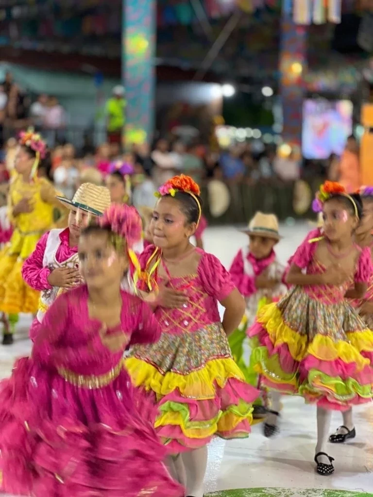 Primeira noite do Festival Cultural dos Cocais foi um sucesso - Imagem 12
