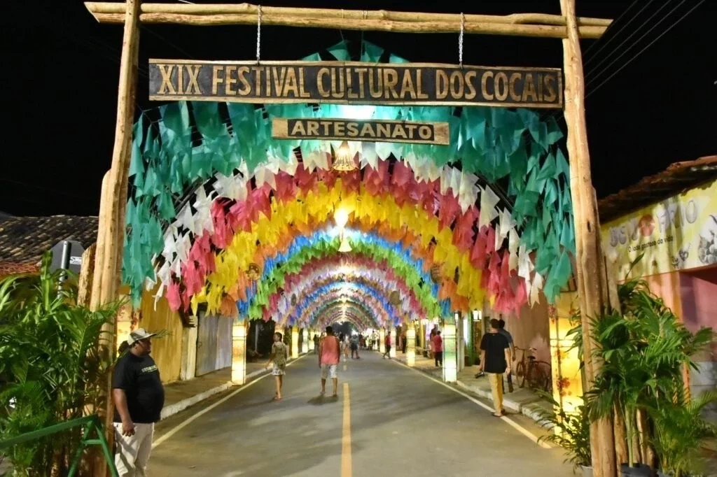 Primeira noite do Festival Cultural dos Cocais foi um sucesso - Imagem 22