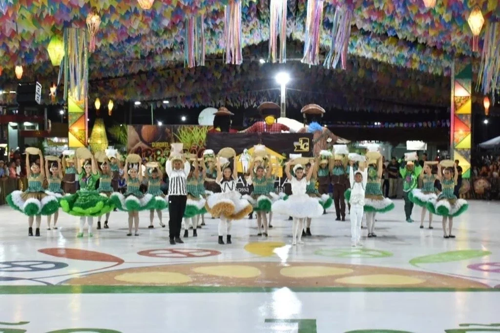 Primeira noite do Festival Cultural dos Cocais foi um sucesso - Imagem 33